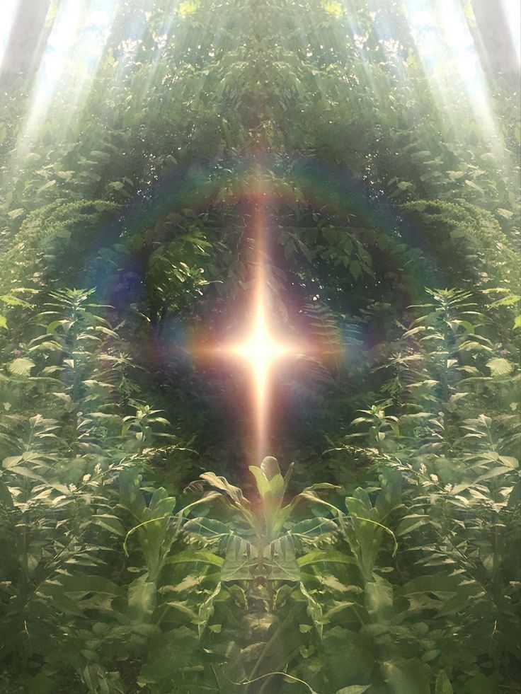 General Energy Cleansing